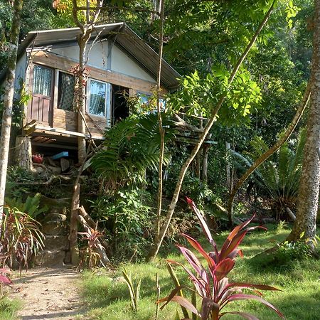 Sumatra Ecolodge Sungaipisang Esterno foto