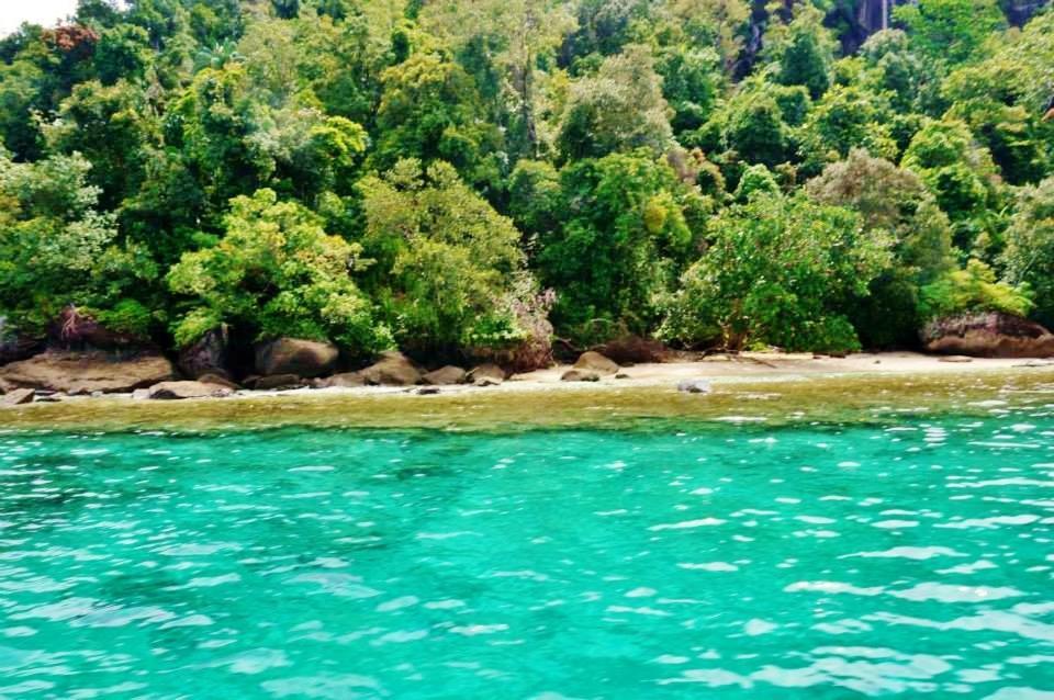 Sumatra Ecolodge Sungaipisang Esterno foto