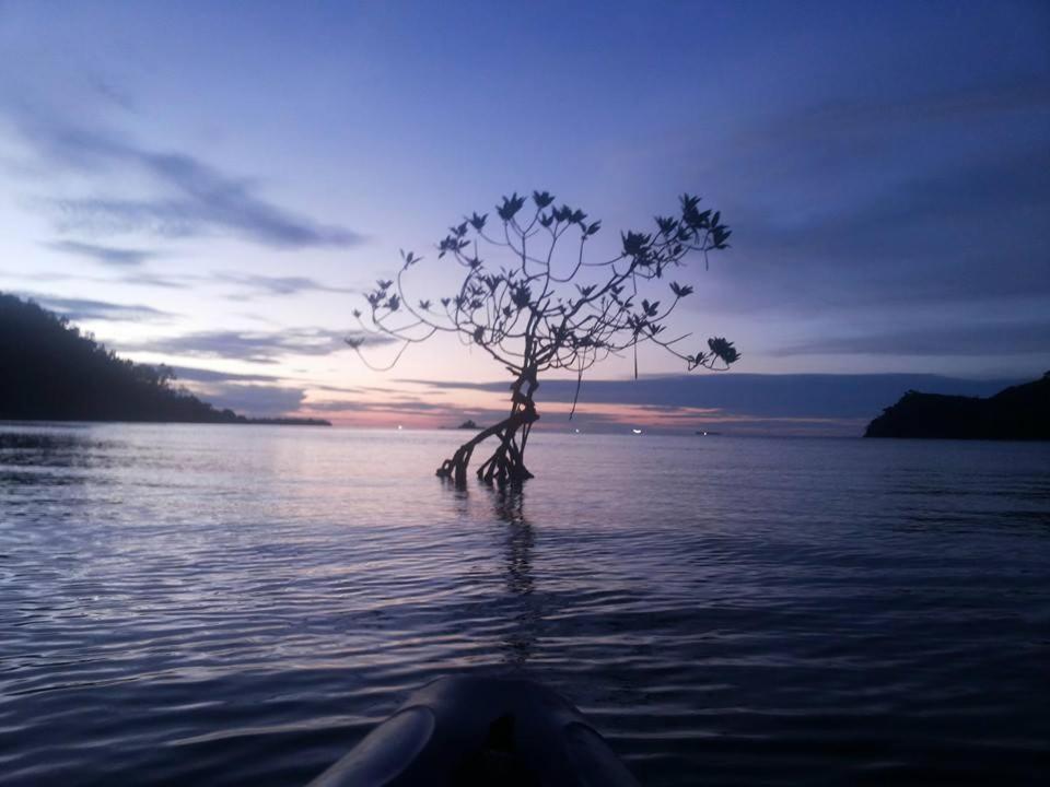 Sumatra Ecolodge Sungaipisang Esterno foto