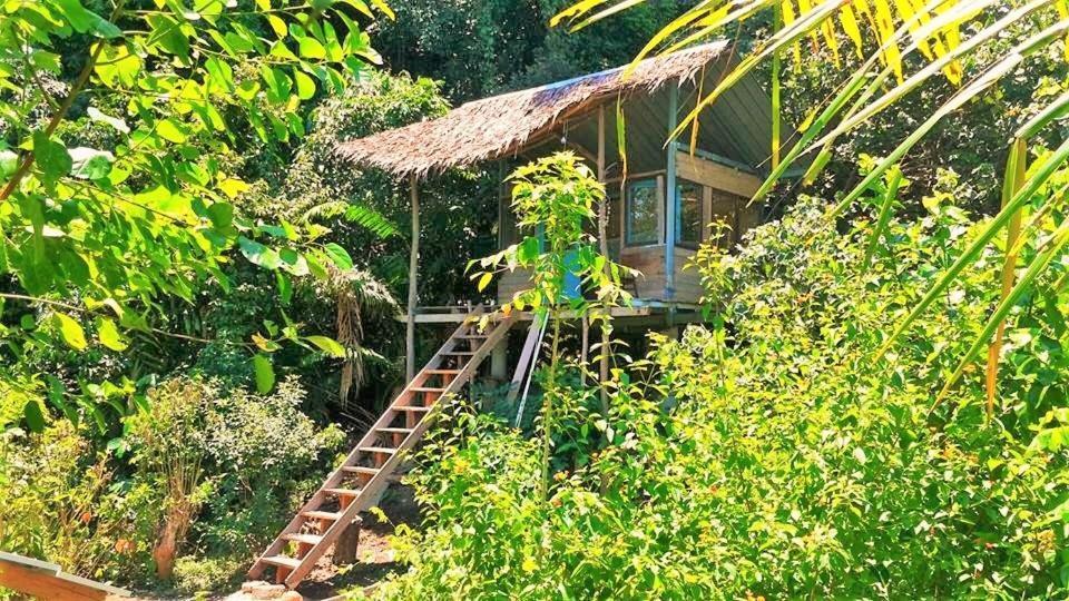 Sumatra Ecolodge Sungaipisang Esterno foto