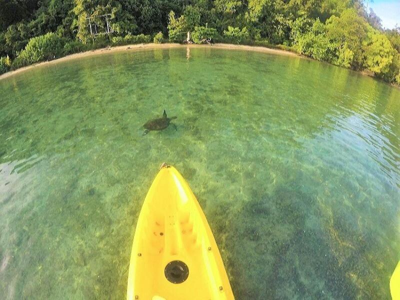Sumatra Ecolodge Sungaipisang Esterno foto