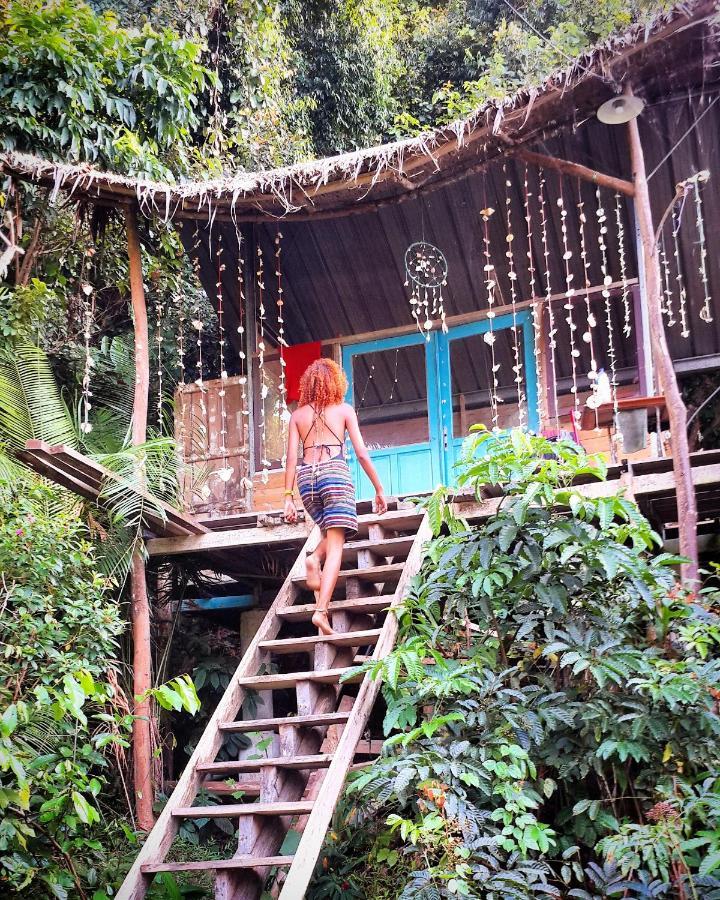 Sumatra Ecolodge Sungaipisang Esterno foto