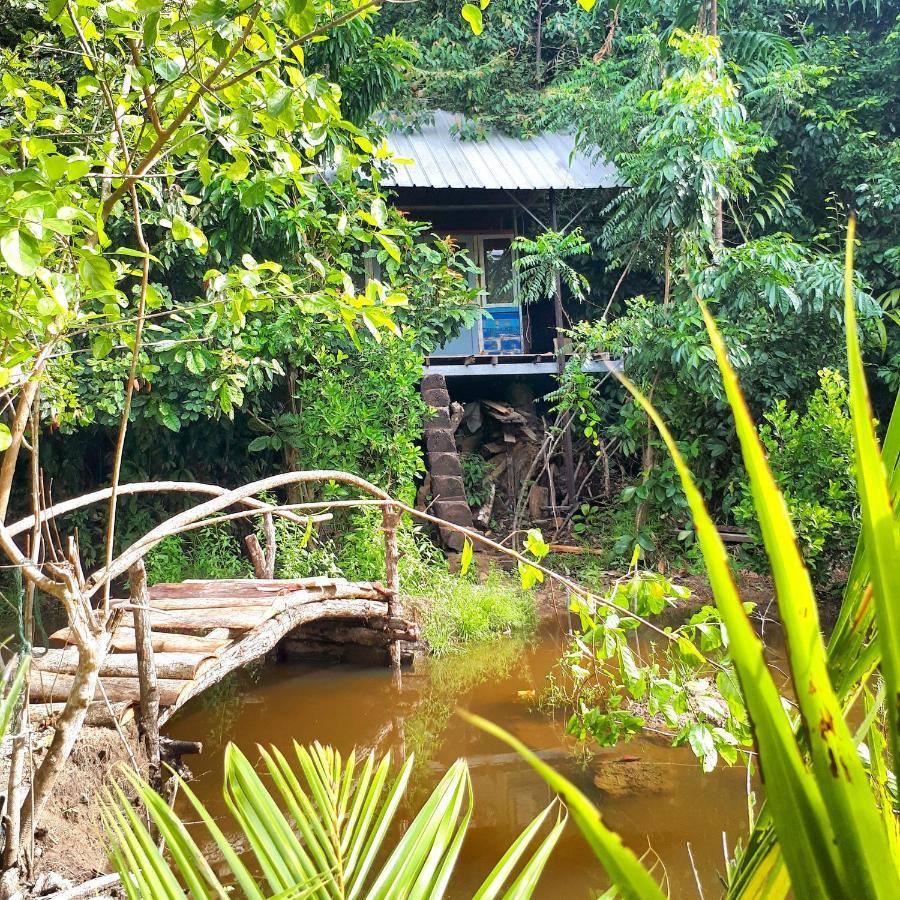 Sumatra Ecolodge Sungaipisang Esterno foto