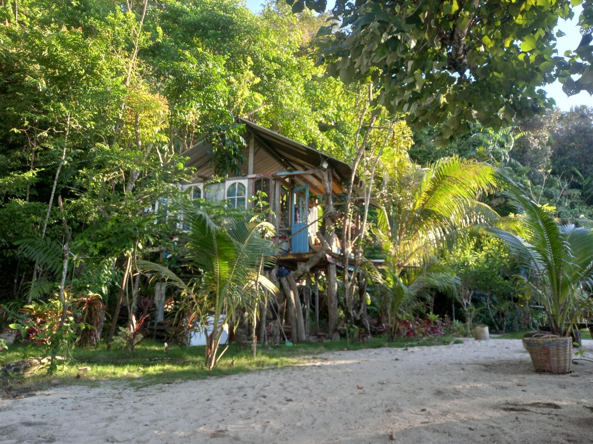 Sumatra Ecolodge Sungaipisang Camera foto