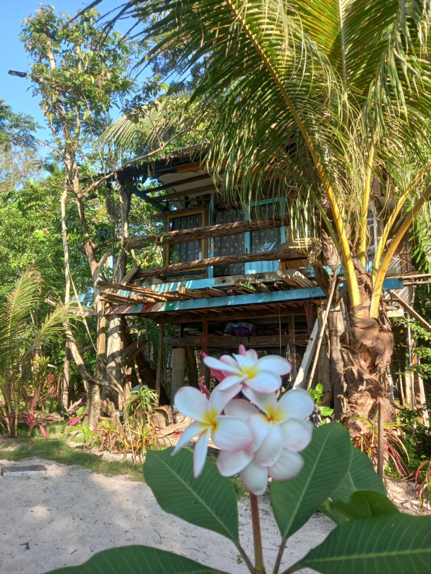 Sumatra Ecolodge Sungaipisang Camera foto
