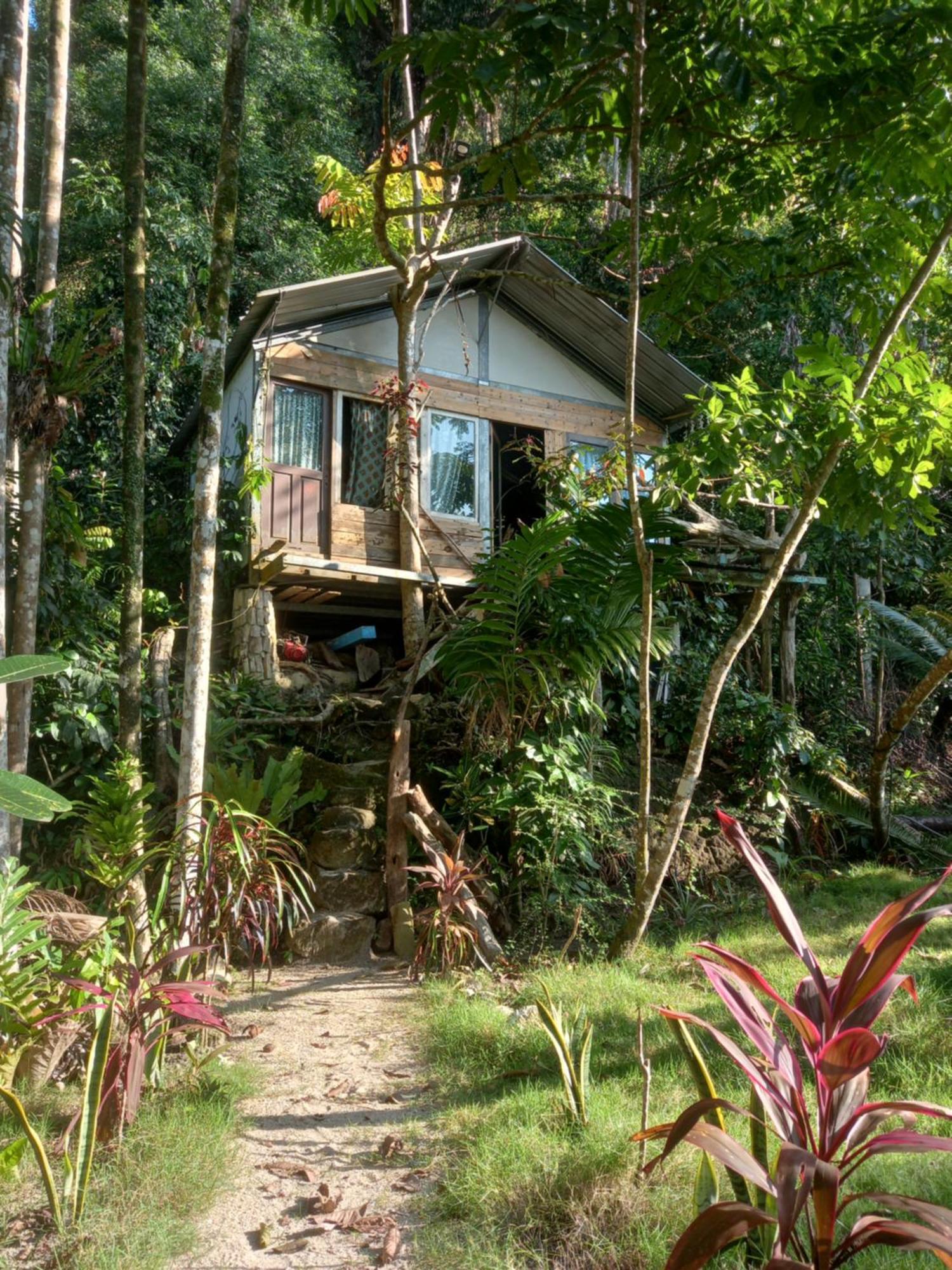 Sumatra Ecolodge Sungaipisang Esterno foto
