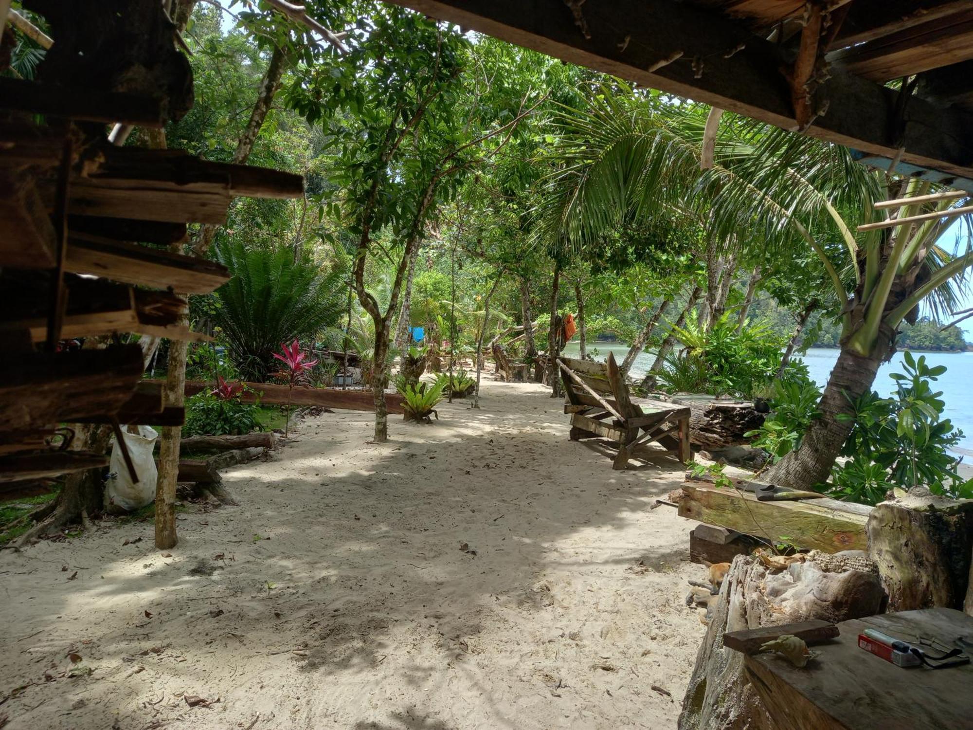 Sumatra Ecolodge Sungaipisang Esterno foto