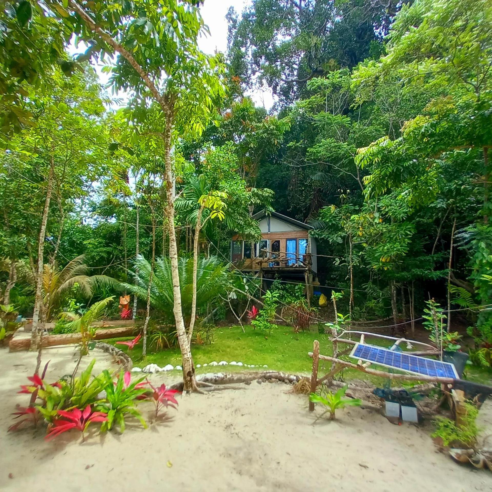 Sumatra Ecolodge Sungaipisang Esterno foto
