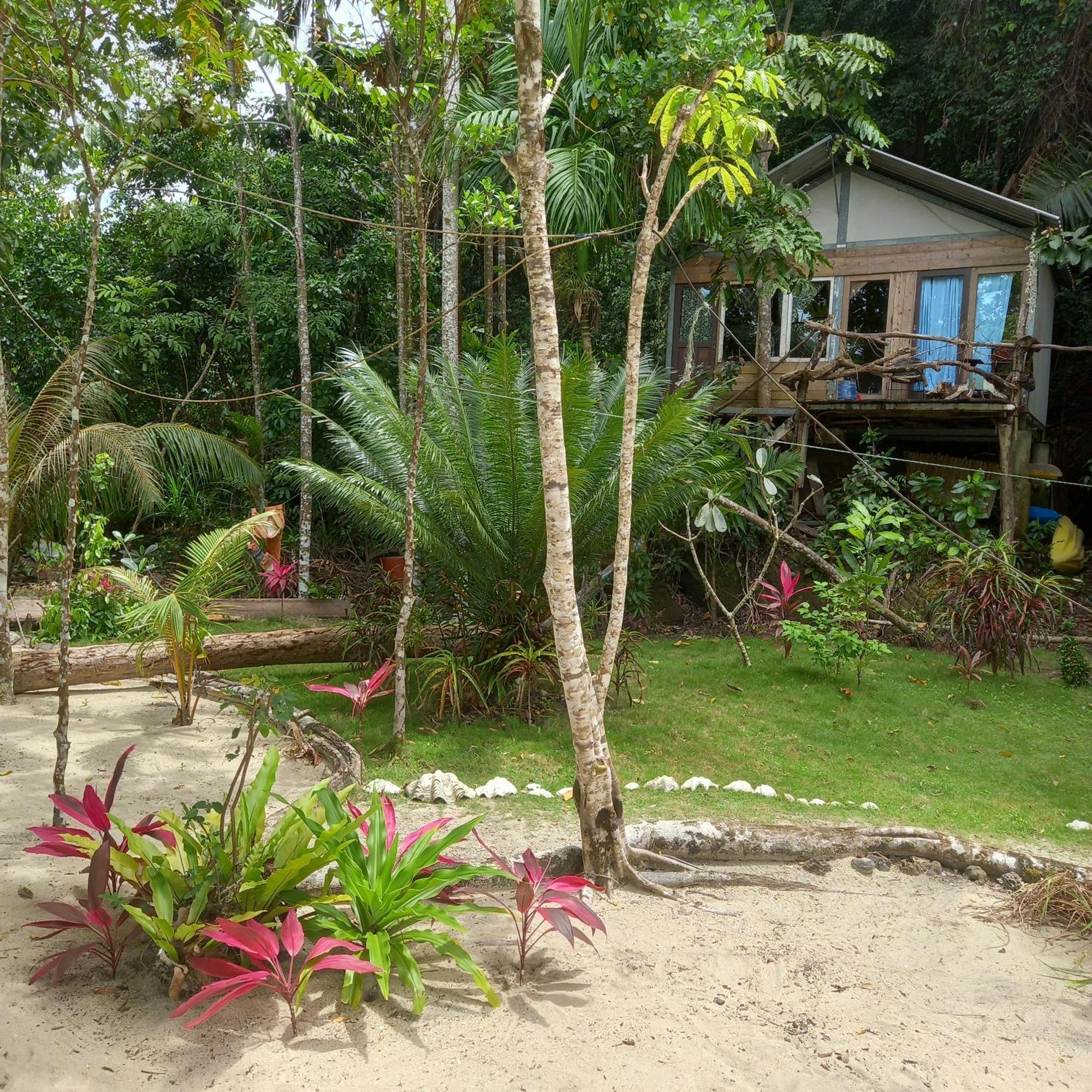 Sumatra Ecolodge Sungaipisang Camera foto